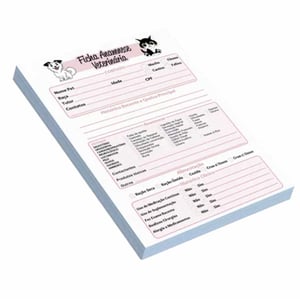 Fichas 15x20cm Sulfite 70g 15x20cm 4x0  Corte Reto 