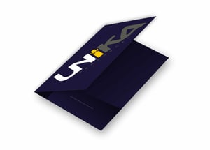 Pastas Personalizadas Couche 300g 30x40cm 4x4 Laminação fosca Bolsa 