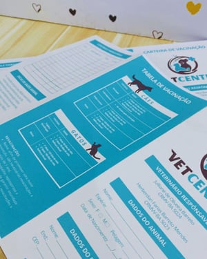 Folders Personalizados