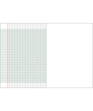 Caderno grande - 50 páginas intercaladas com folhas brancas - linhas 2mm.