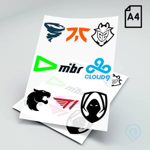 Cartela A4 - DTF Têxtil Poliamida Poliamida 21 x 29 cm Impressão Colorida  Somente Impressão na folha Personalizado com a sua arte e/ou logotipo