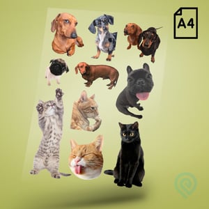 Cartela A4 DTF UV/TÊXTIL – PET LOVERS 08 Cachorros e Gatos DTF UV ou DTF Têxtil Cartela A4 - 21 x 29 cm    Cartela DTF PET LOVERS Cachorros e Gatos