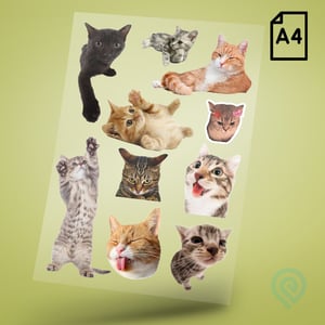 Cartela A4 DTF UV/TÊXTIL – PET LOVERS 07 Gatos DTF UV ou DTF Têxtil Cartela A4 - 21 x 29 cm    Cartela DTF PET LOVERS Gatos