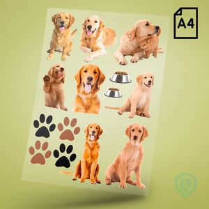 Cartela A4 DTF UV/TÊXTIL – PET LOVERS 04 Cachorros Golden Retriever DTF UV ou DTF Têxtil Cartela A4 - 21 x 29 cm    Cartela DTF PET LOVERS Cachorros Golden Retriever
