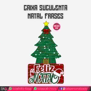 Caixa para 1 Suculentas Natal Fofinho