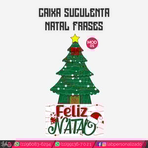 Caixa para 1 Suculentas Natal Fofinho