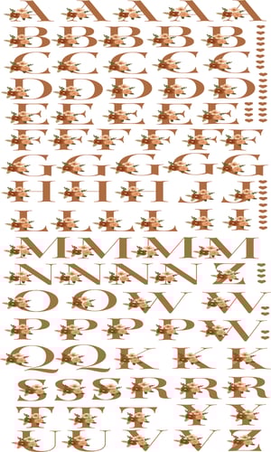 DTF UV 29X100 (1 MTR) ARTE ALFABETO FLORAL