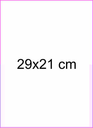 impressão dtf-uv 29x21