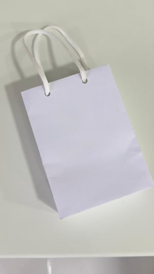 Sacola de Papel Off Pequena - BRANCO      