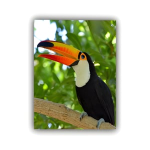 Papel Fotográfico FOSCO 30x40cm Papel Fotográfico UV Fosco 260g/m² 30x40cm 4x0 - Só Frente   Impressão UV - CMYK