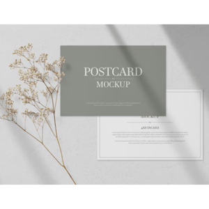 Cartão Postal 15x10cm Couchê 250g Laminação Fosca + UV Localizado (4x0)