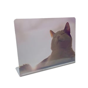 Porta Retrato Metálico