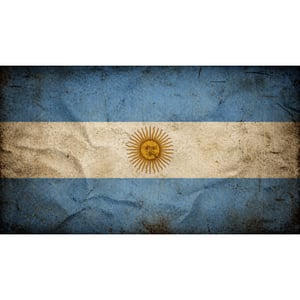 Adesivo Bandeira Automotivo Personalizado p/ Teto e Capo | Alta Resolução - Vários Tamanhos