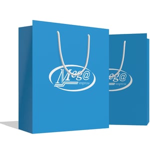 Sacola Personalizada 21x23x10cm Papel 180g Impressão Colorida