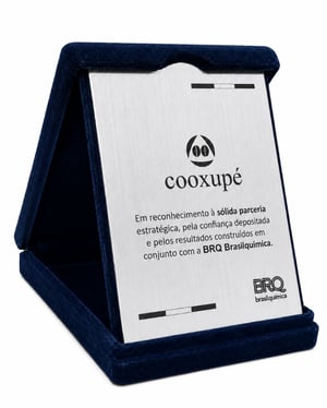 Placa de Homenagem Personalizada com Estojo Veludo 13x17cm