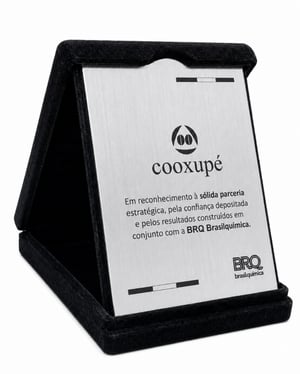 Placa de Homenagem Personalizada com Estojo Veludo 13x17cm