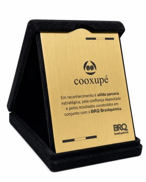 Placa de Homenagem Personalizada com Estojo Veludo 13x17cm