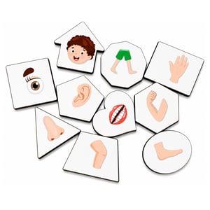Brinquedo Educativo Tabuleiro Encaixe Inglês Corpo Humano Menino Mdf