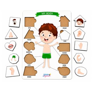 Brinquedo Educativo Tabuleiro Encaixe Inglês Corpo Humano Menino Mdf