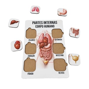 Brinquedo Educativo Tabuleiro Encaixe Partes Intgernas do Corpo Humano  Mdf
