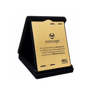 Placa de Homenagem Personalizada com Estojo Veludo 13x17cm Estojo Veludo e Acrílico 13x17cm Prata e Ouro Veludo Fecho Prata Gravação Laser 