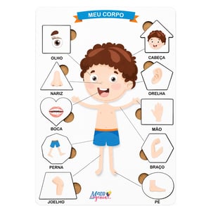 Brinquedo Educativo Tabuleiro Encaixe Corpo Humano Menino Mdf MDF 29cm x 19cm    
