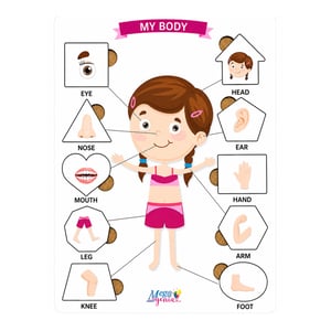 Brinquedo Educativo Tabuleiro Encaixe Inglês Corpo Humano Menina Mdf MDF 29cm x 19cm    