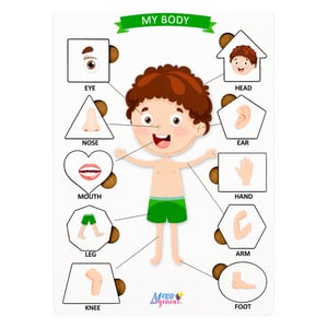 Brinquedo Educativo Tabuleiro Encaixe Inglês Corpo Humano Menino Mdf MDF 29cm x 19cm    