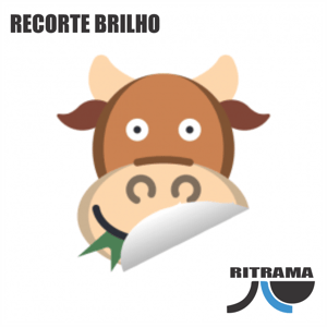 Adesivos Impressos e Recortados Ritrama Vinil Branco  4x0 Brilho Com Recorte TAMANHO MAXIMO 115 CM DE LARGURA / NÃO CONTEMPLA DEPILAÇÃO,