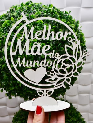 placas      