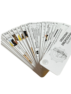 Cartela Guia Visagista Prático