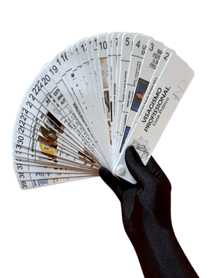 Cartela Guia Visagista Prático Polaseal + Papel foto 14x4 frente  Artesanal 