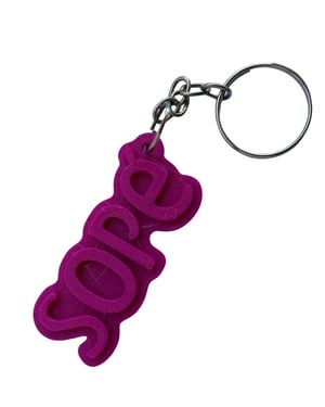 Chaveiro Nome Personalizado Impressão 3D Acessórios - 2,5 x 5,7 x 0,4 cm - 1 Cor Plástico PLA 2,5x6,00cm    