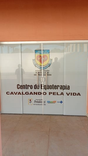 ADESIVOS PERFURADOS VINIL     