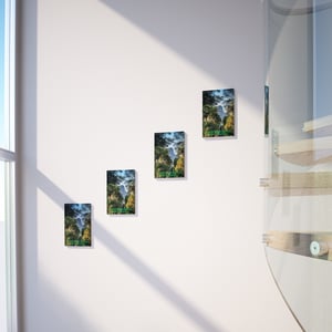 Poster com Borda Espelhada - Jardim Botânico - Para Montar*