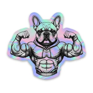 BULLDOG MAROMBA Vinil 7~9 cm 4x0 Corte Total Tinta Eco Solvente Holográfico