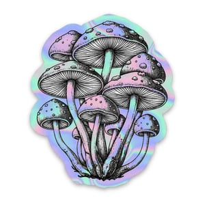 COGUS Vinil 7~9 cm 4x0 Corte Total Tinta Eco Solvente Holográfico