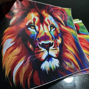 Adesivo impresso brilho m² Vinil adesivo 0,8 120g Personalizado Colorido 4x0 Brilho  