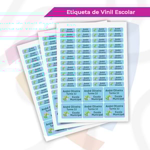 Etiqueta de Vinil Escolar Vinil    Recortado pronto para Destaque Cartela com foto 3x4 de Brinde