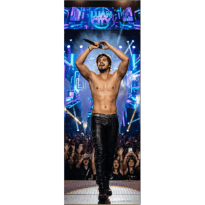 CAPA PAINEL PORTA LUAN SANTANA | TECIDO PREMIUM  | VÁRIOS MODELOS - 85cm x 2.10M