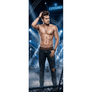 CAPA PAINEL PORTA LUAN SANTANA | TECIDO PREMIUM  | VÁRIOS MODELOS - 85cm x 2.10M