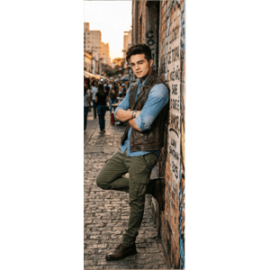 CAPA PAINEL PORTA LUAN SANTANA | TECIDO PREMIUM  | VÁRIOS MODELOS - 85cm x 2.10M