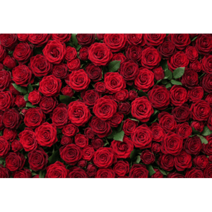 CAPA FUNDO FOTOGRÁFICO HORIZONTAL DIA DOS NAMORADOS | TECIDO PREMIUM  | VÁRIOS MODELOS - 2.20X1.50M