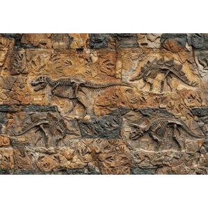 CAPA FUNDO FOTOGRÁFICO HORIZONTAL DINOSSAURO | TECIDO PREMIUM  | VÁRIOS MODELOS - 2.20X1.50M