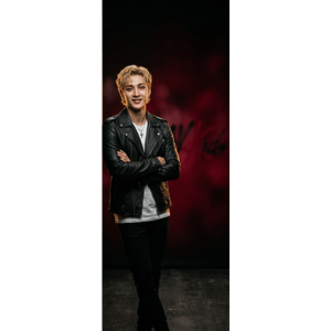 CAPA PAINEL PORTA STRAY KIDS | TECIDO PREMIUM  | VÁRIOS MODELOS - 85cm x 2.10M