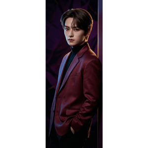 CAPA PAINEL PORTA STRAY KIDS | TECIDO PREMIUM  | VÁRIOS MODELOS - 85cm x 2.10M