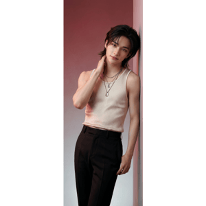 CAPA PAINEL PORTA STRAY KIDS | TECIDO PREMIUM  | VÁRIOS MODELOS - 85cm x 2.10M