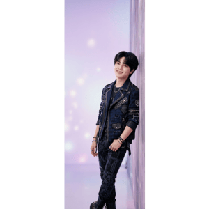CAPA PAINEL PORTA STRAY KIDS | TECIDO PREMIUM  | VÁRIOS MODELOS - 85cm x 2.10M
