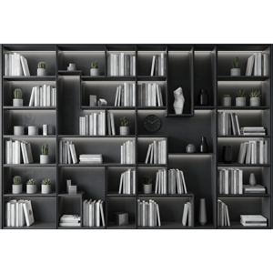 CAPA FUNDO FOTOGRÁFICO HORIZONTAL BIBLIOTECA NEUTRA | TECIDO PREMIUM  | VÁRIOS MODELOS - 2.20X1.50M