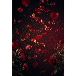CAPA FUNDO FOTOGRÁFICO VERTICAL DIA DOS NAMORADOS | TECIDO PREMIUM | VÁRIOS MODELOS - 1.50X2.20CM